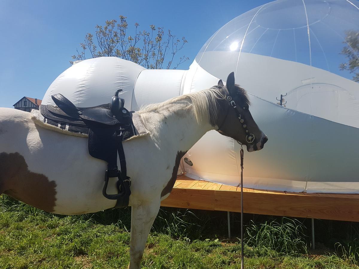 Coachella Pensionat Lanouaille Exteriör bild